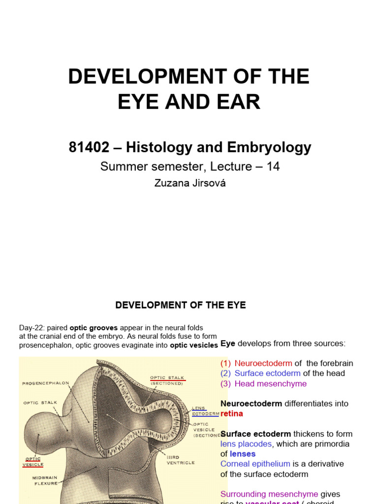 Eye and Ear Embryology Development | PDF | Retina | Anatomy