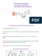 Lecture Purines and Pyrimidines KMJ 1