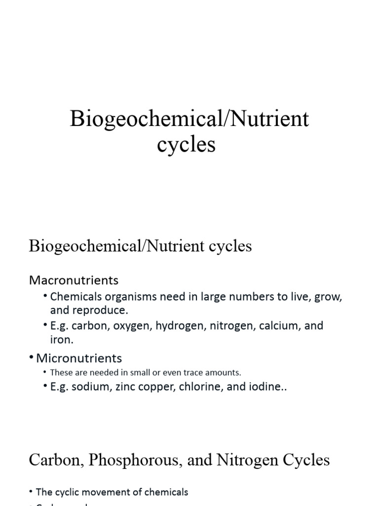 Understanding Biogeochemical Cycles | PDF | Carbon Cycle | Earth Sciences