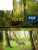 DP - Ballade en forêt