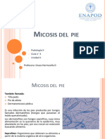 GUÌA 4, Micosis Del Pie, Unidad II, Podologia II (D-V-SP)