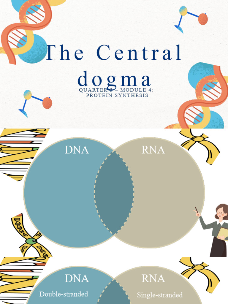 The Central Dogma P2 | PDF