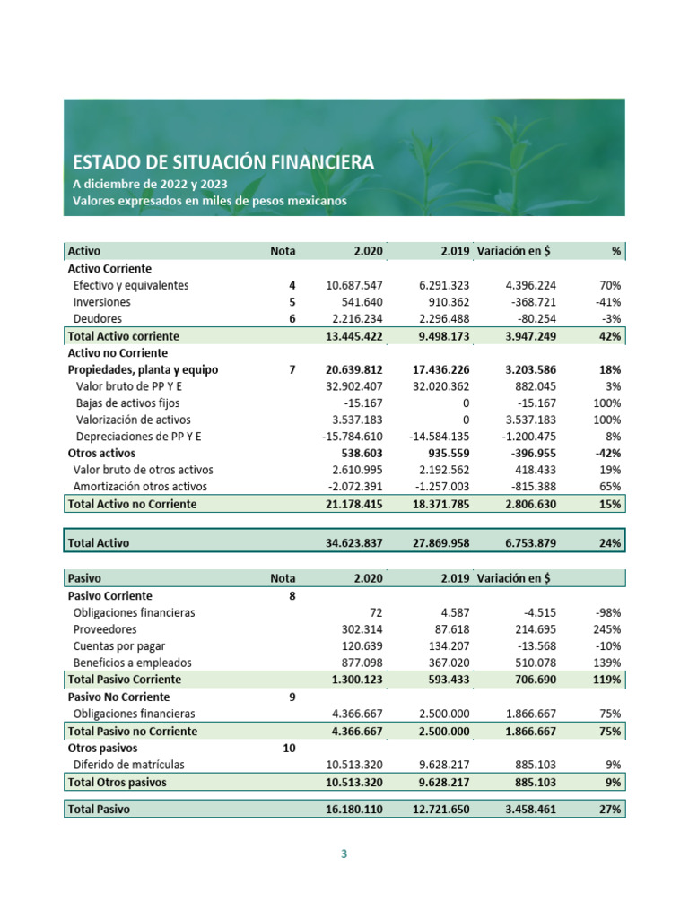 Estados Financieros | PDF | Activo fijo | Estado de resultados