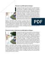 Texto Sobre A Dengue.