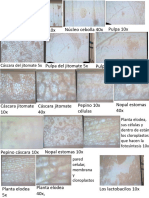 Biologiafotos3 PDF