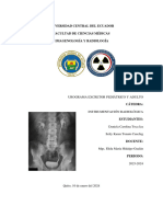 G6 Urograma Excretor Informe