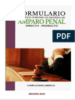 Manual Para Demanda de Amparo.3(2).PDF · Versión 1 (1)