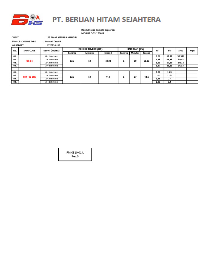 Example Report BHS Exploration Document For Mr. Kang | PDF