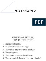 BIO 203 Lesson 3 Reptiles