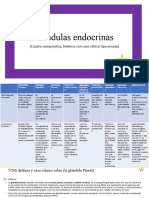 Glándulas Endocrinas