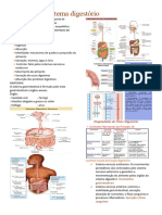 Sistema Digestório - Fisiologia Humana