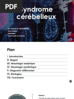 Comprendre le syndrome pyramidal | PDF | Cervelet | Système nerveux