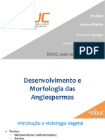 Desenvolvimento e Morfologia Das Angiospermas-1