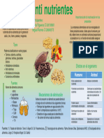 Infografía Nutrición