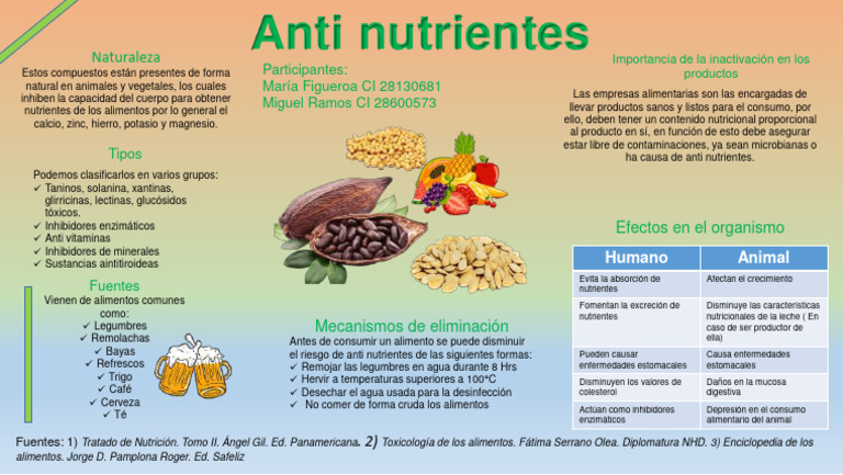 Infografía Nutrición Pdf Alimentos Nutrientes
