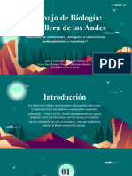 Trabajo de Biologia - Cordillera de Los Andes