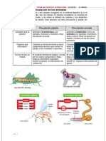 Anex CyT - Los Animales Circulacion