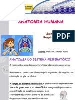 Aula 5 - Sistema Respiratório