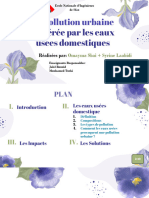 La Pollution Urbaine Generée Par Les Eaux Usées Domestique