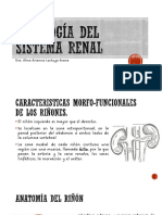 Fisiología Del Sistema Renal