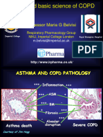 COPD Biology