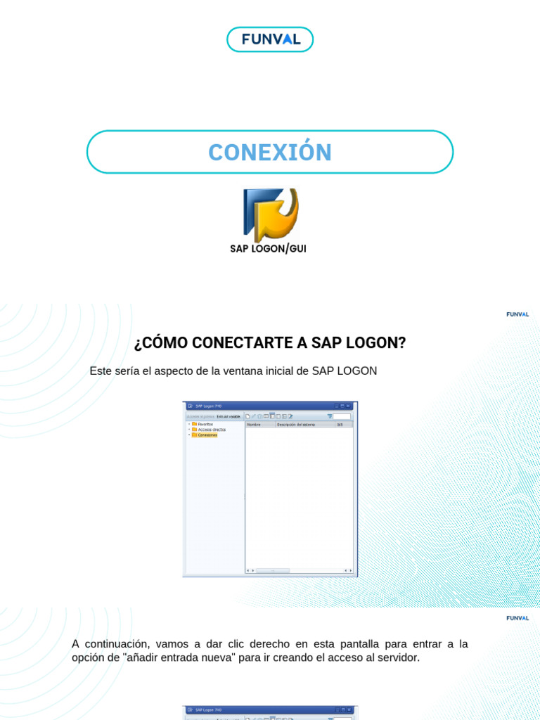 Guía para Conectar a SAP Logon | PDF
