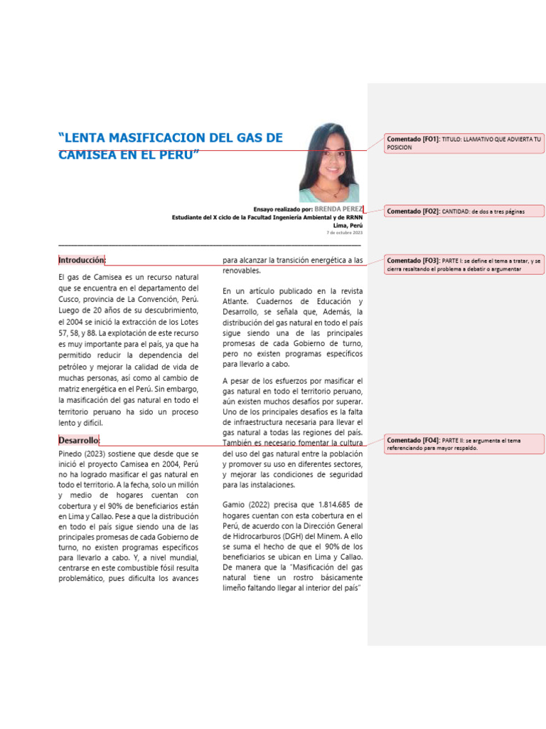 Masificación del Gas de Camisea en Perú | PDF | Perú | Entorno natural