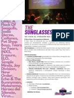 The Sunglasses - Carta Presentación