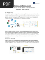 Business Intelligence Project