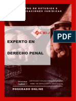 Experto en Derecho Penal Online 21new