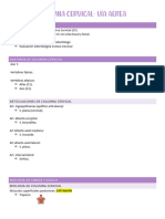 Clase 19 FISIO - Columna Cervical