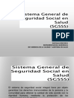 SGSSS - Generalidades