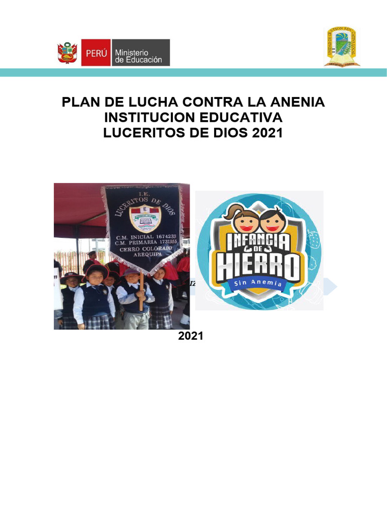Plan de LUCHA CONTRA LA ANEMIA 2021 | PDF | Anemia | Agua