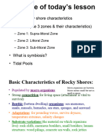 Intro To Rocky Shores