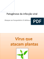 Aula 2 Virus de Plantas