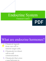 Endocrine and Hormones