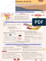 Infografia Fisiología Glomerular