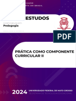 guia_pratica_componente_curricular_II (1)