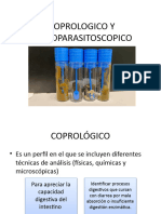 Coprologico y Coproparasitoscopico