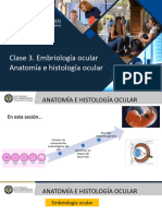 Clase 3. Embriología Ocular.