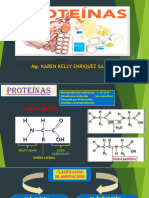 Proteínas - Enzimas