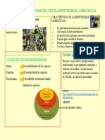 Importancia Del Cuidado de Nuestra Biodiversidad Lambayecana PAOLO