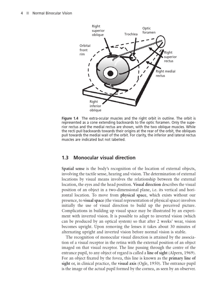 Understanding Visual Direction Concepts | PDF | Visual System | Visual ...