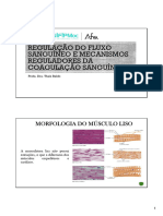 Palestras UNIFIP - MOC - Afya 15-09-2023