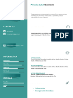 Curriculum Vitae PRI