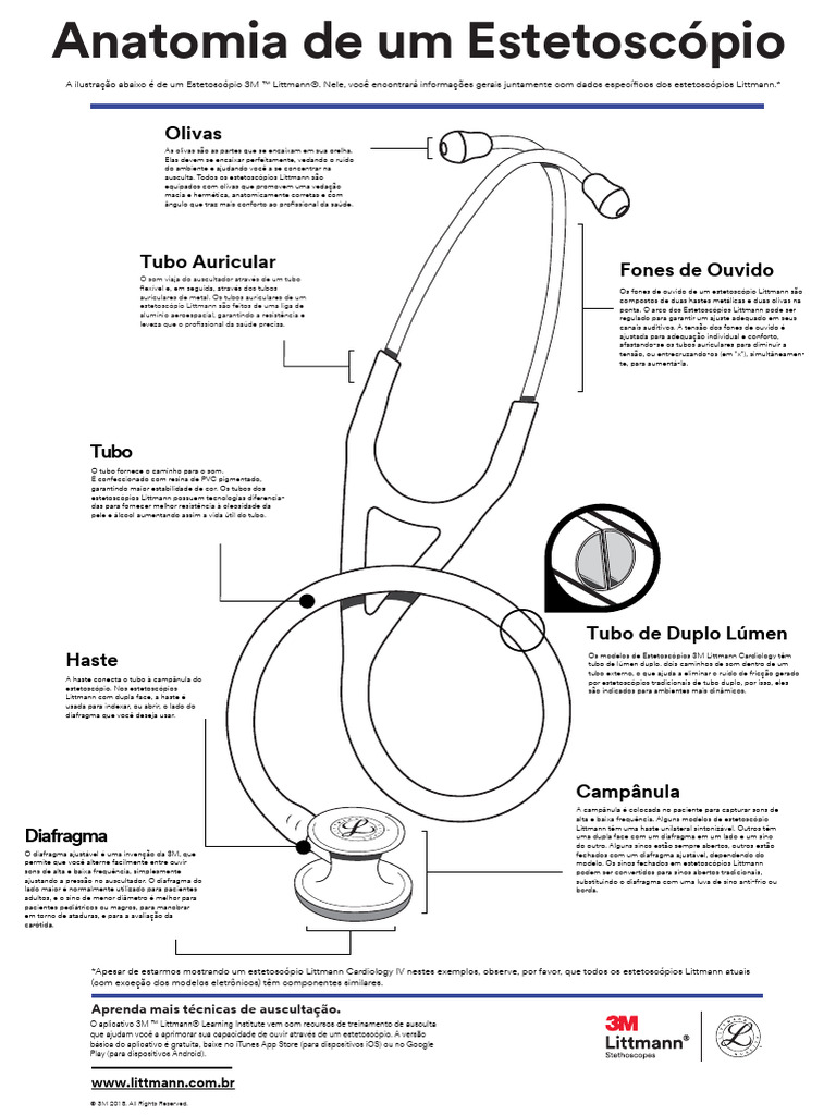 Littmann Anatomy of A Stethoscope Poster PT BR | Download grátis PDF ...