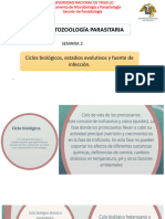PRÁCTICA - Ciclos Biológicos, Estadios Evolutivos y Fuente de Infección.