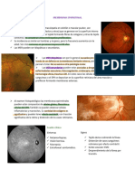 Clase 4 MEMBRANA EPIRRETINAL