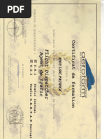 Badge Médaillette Brevet Scolaire – Fédération Nationale De Natation, Ancien