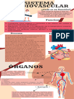 Sistema Musculat y Cardiovascular